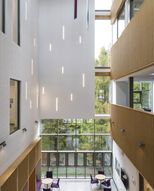 Screenshot 2025-07-23 at 11-42-07 DVA Hydebank OHMG Government & Infrastructure Project